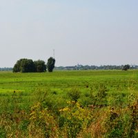 Старочеркасская. Северо-восточные окрестности станицы. :: Пётр Чернега