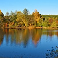 красавица осень :: НАТАЛЬЯ 