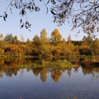 Осень на реке :: Надежда Буранова 