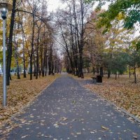 Осень в парке :: Георгий Морозов