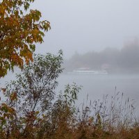 на реке туман :: Владимир Зеленцов