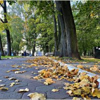 Осень в парке. :: Валерия Комова