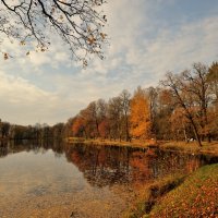 в осеннем парке... #14 :: Андрей Вестмит