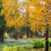 Осенние прогулки :: Александр Тарноградский