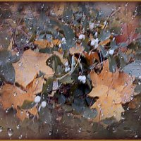 Осенние листья :: Nikolay Monahov