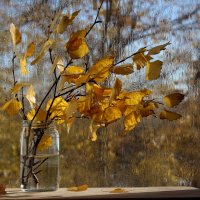 Плачет Осень за окном... :: Нина Сироткина 