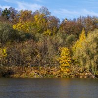 autumn trees :: Zinovi Seniak