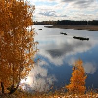 На царстве золотая Осень :: tamara kremleva