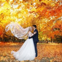 Autumn wedding :: Mitya Galiano
