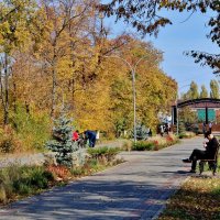 На аллее старого парка. :: Восковых Анна Васильевна 