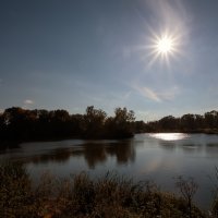 В осеннем парке... :: Сергей Кичигин