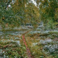 Осень со снежком :: Mikhail Irtyshskiy