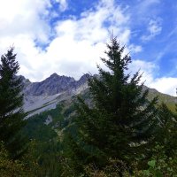 Alpen... :: Galina Dzubina