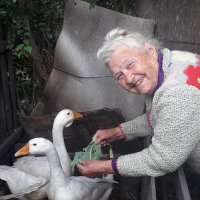Жили у бабуси два веселых гуся.. :: Tatiana Markova