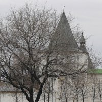 Башня Новоспасского монастыря :: Тарас Золотько
