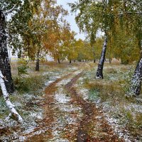Осень с первым снегом :: Mikhail Irtyshskiy