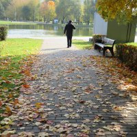 Осенняя дорожка в нашем парке. :: Зинаида 