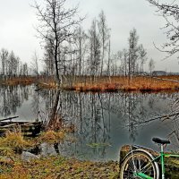 Осенние разливы... :: Vladimir Semenchukov