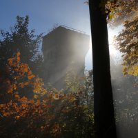 лес, туман, башня и свет :: Heinz Thorns
