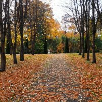 Засыпан листьями осенний сад (репортаж из городского сада). :: Милешкин Владимир Алексеевич 