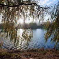 То снег, то солнце - осень, одним словом... :: Владимир Безбородов