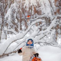 Зимняя сказка :: Елена Моисеева