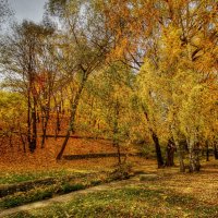 Осень- рыжая плутовка :: Наталья Лакомова