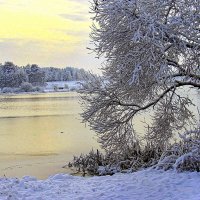 Зимнее утро на озере :: Игорь Сычёв