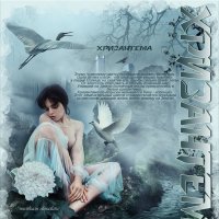 История одной хризантемы... :: elenaslava 