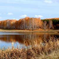 Краски осени :: Влад Платов