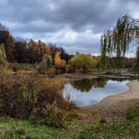 Скромное обаяние октября :: Андрей Лукьянов