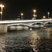 Мост Вечером в Санкт-Петербурге 2021 :: Митя Дмитрий Митя