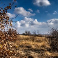 Осенний пейзаж :: Евгений Кирюхин