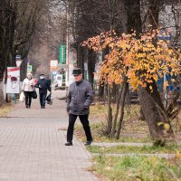 Повседневная жизнь :: Роман Алексеев