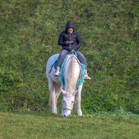 Девчушка на белой лошадке. :: Анатолий. Chesnavik.