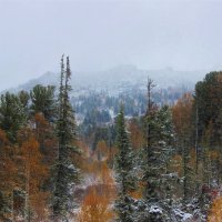 Первый снег в горах :: Сергей Чиняев 