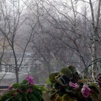 Туман за окном :: ВАЛЕРИЙ 