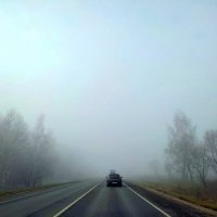 Туман в ноябре. :: Михаил Столяров