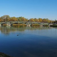 Мост в парке Царицино :: Евгений Седов