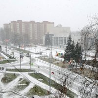 Перекрёсток. :: Мила Бовкун