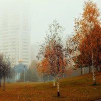 Выманил туман из дома. :: Татьяна Помогалова