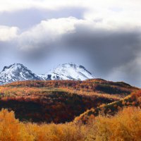 Осень в горах Камчатки :: Галина Ильясова