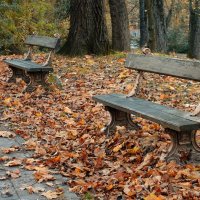 Осенние скамейки... :: Elena Ророva