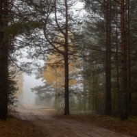Осенние туманы. :: Андрей Дурапов