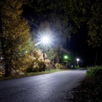 Ночь, улица, фонарь... Осень. :: Александр 