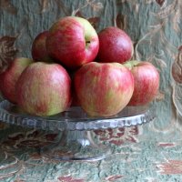 Яблоки сорта Орловское полосатое и ноябрьское хмурое утро :: Надежд@ Шавенкова