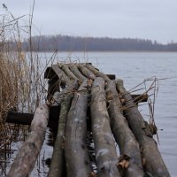 на озере :: Иван Скрипкин