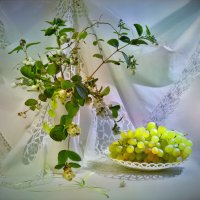 Виноградная гроздь :: Наталия Лыкова