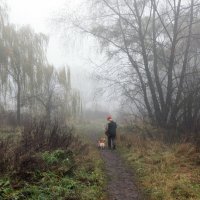 Прогулка в тумане. :: Владимир Безбородов
