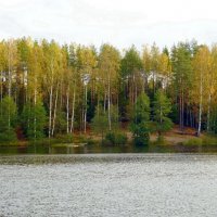 Осеннее озеро :: Вера Щукина